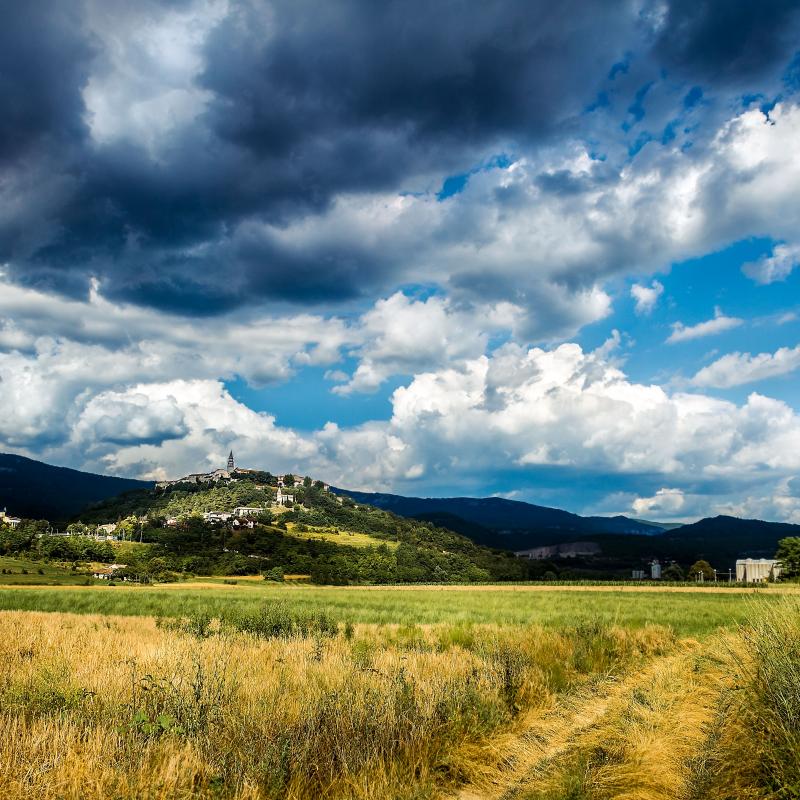 Festival istarskih tartufa — Buzet