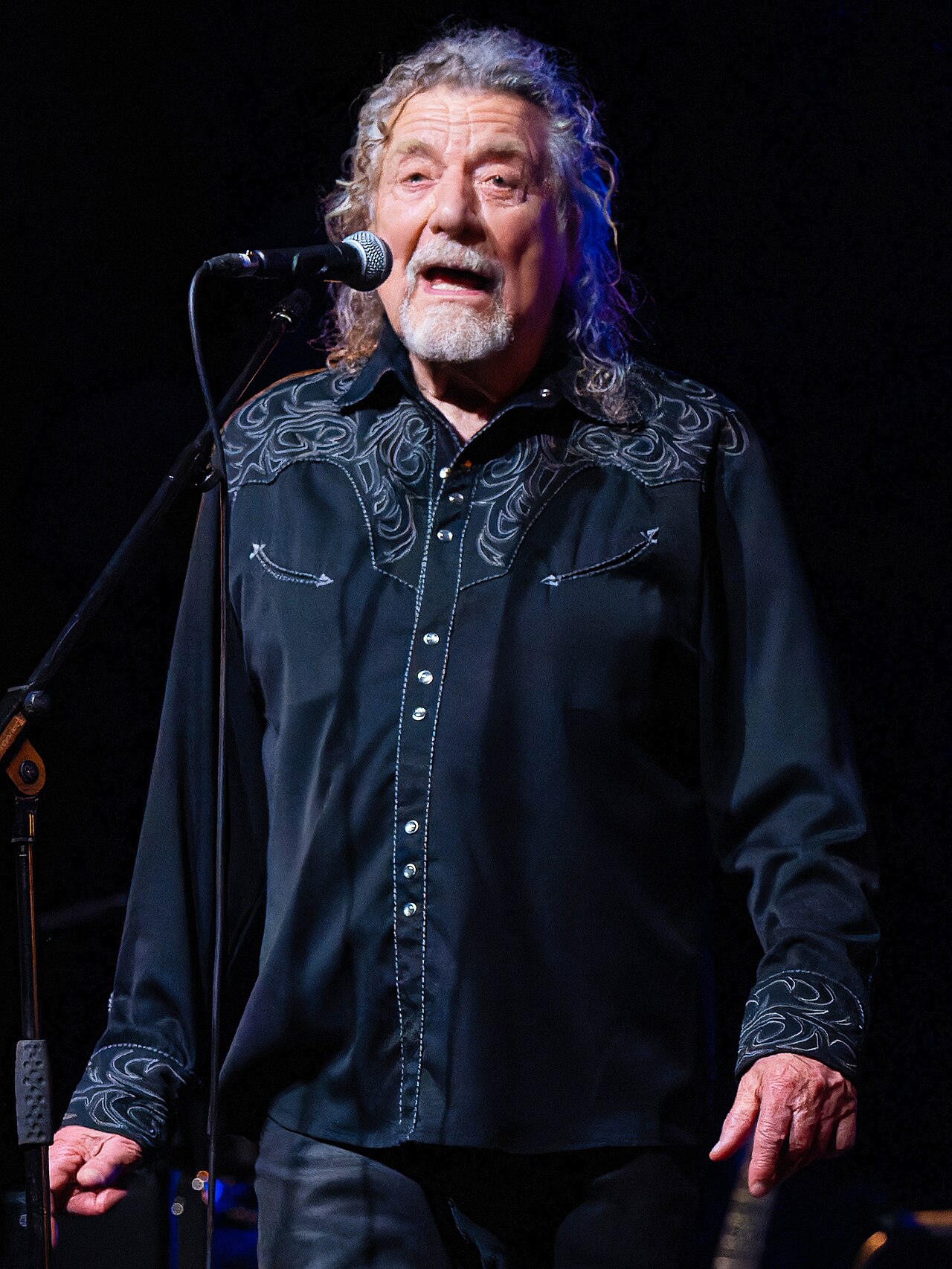 Robert Plant presents Saving Grace